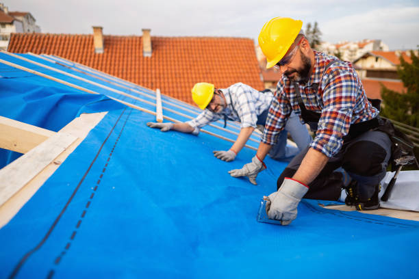 Best Chimney Flashing Repair  in Encinitas, CA